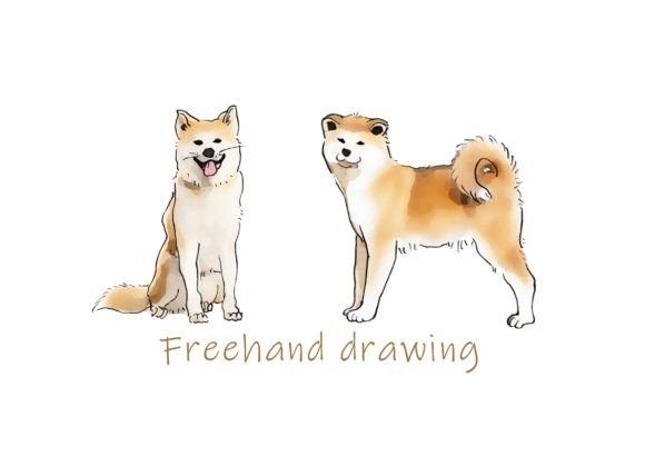 Download Freehand Illustration of Akita Inu Dog - Freehand illustration Collection